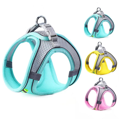 Pet harnesses in teal, yellow, and pink on a white background