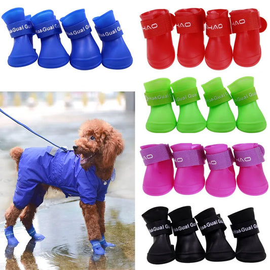 Set of colorful pet boots with a dog wearing a blue raincoat in the rain.